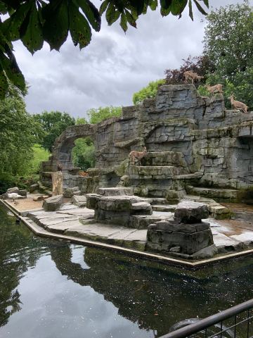 ARTIS Amsterdam Royal Zoo