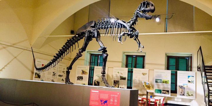 Civic Museum of Natural Sciences in Bergamo