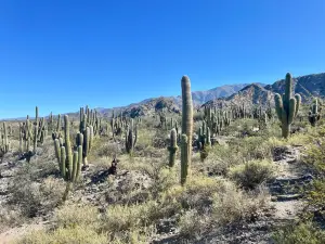 Quilmes Ruins