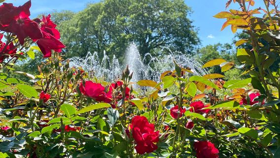 Columbus Park of Roses