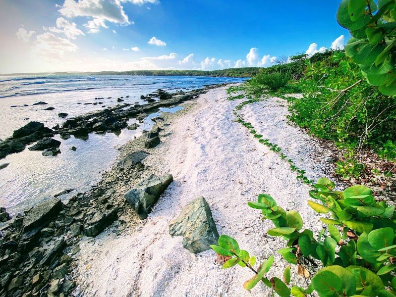 Jacksonville to Vieques Flights