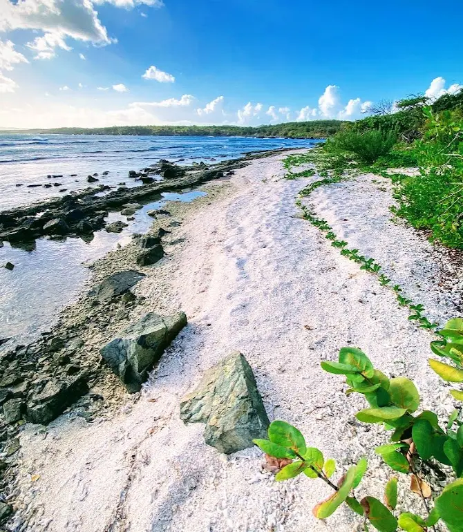 Vieques
