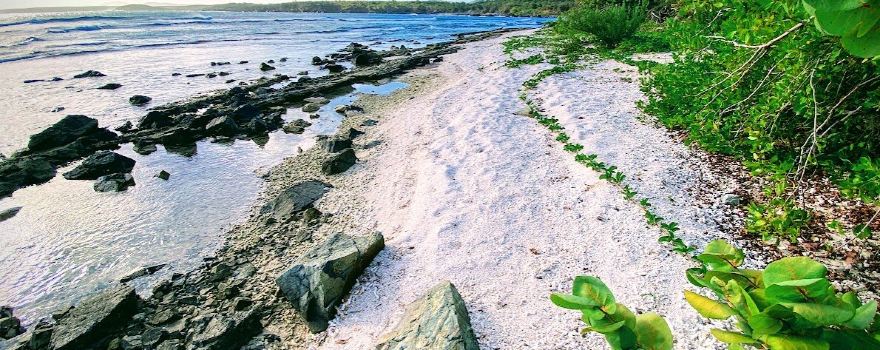 Vieques
