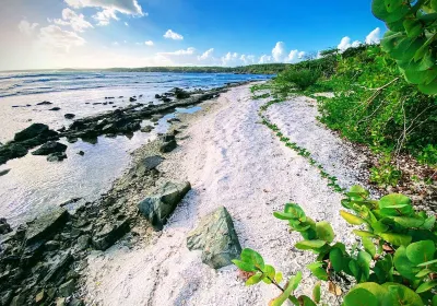 Vieques Island