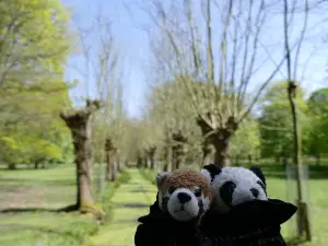 Tiergarten