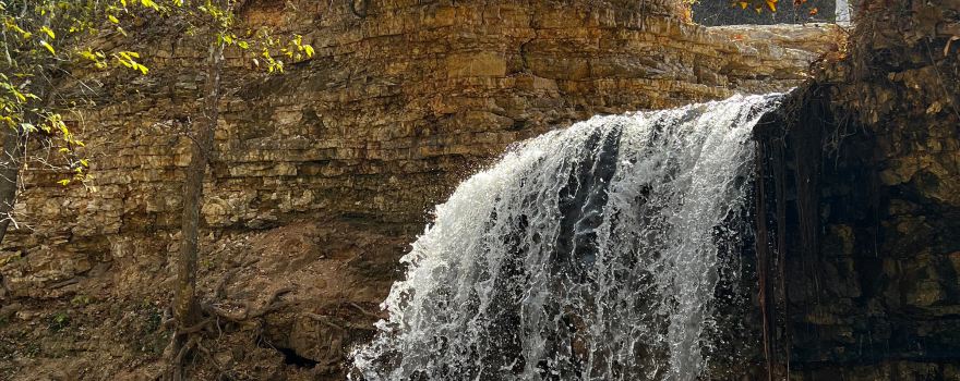 Tanyard Creek Nature Trail
