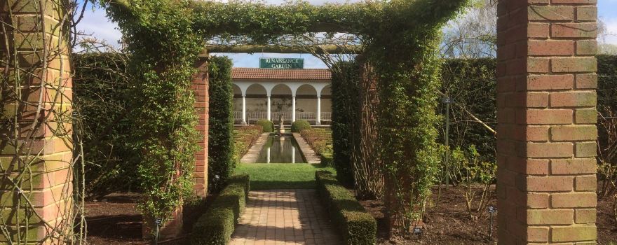 David Austin Roses Ltd