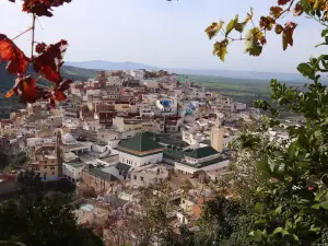 Moulay Idriss Zerhoun