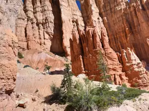 Canyon Trail Rides