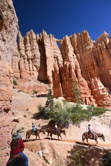 Canyon Trail Rides