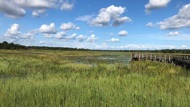 Crews Lake Wilderness Park