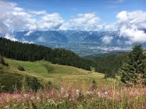 알페 델 네베갈 S.R.L.