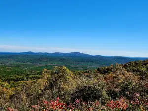 Forêt nationale d'Ouachita