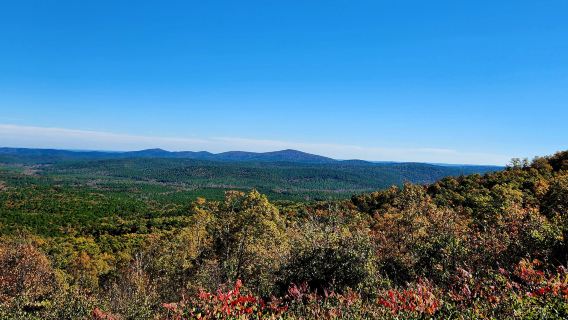 Ouachita National Forest
