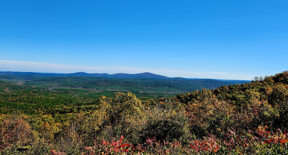 Ouachita National Forest