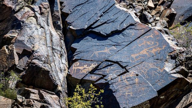 Tamgaly Tas petroglyphen