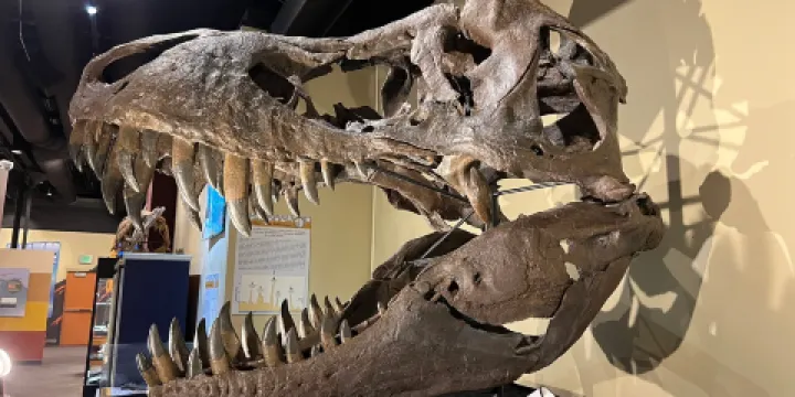 Weis Earth Science Museum