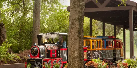 Nashville Zoo at Grassmere