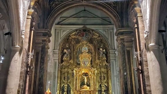 Basilica Minor of St Ildefonse