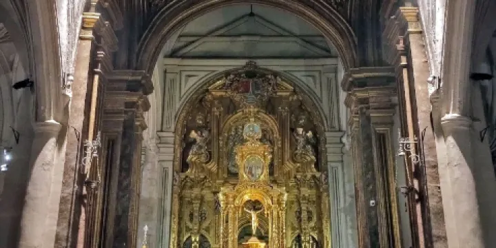 Basilica Minor of St Ildefonse