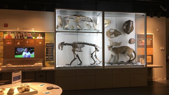 Museum of Natural and Cultural History