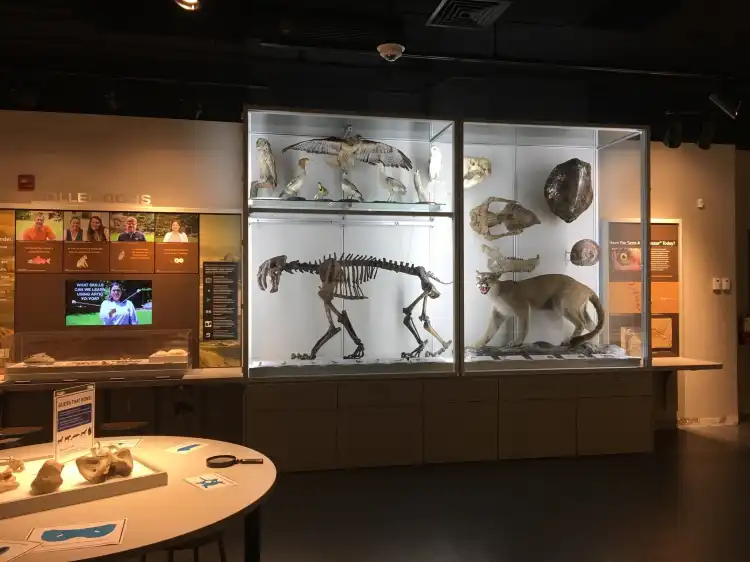 Hotels near Museum of Natural and Cultural History