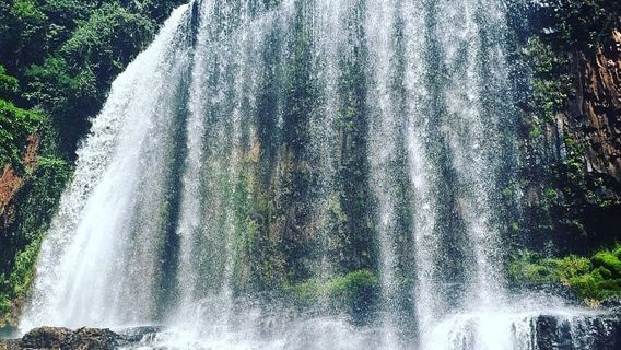Бротас