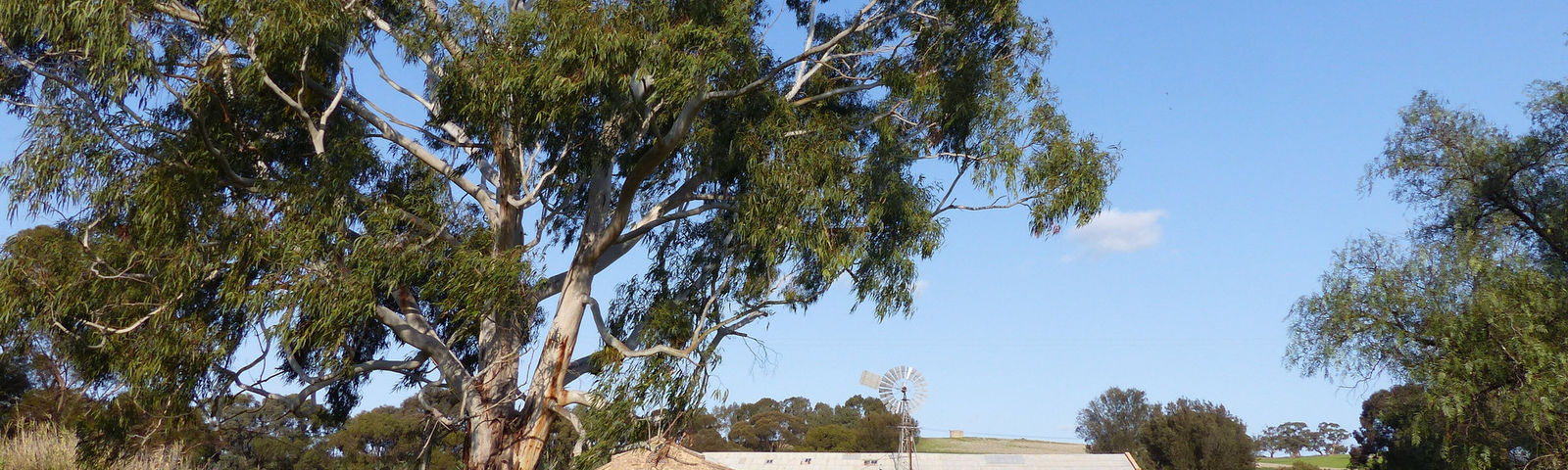 ClareTours de un día