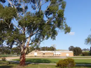 Bungaree Station