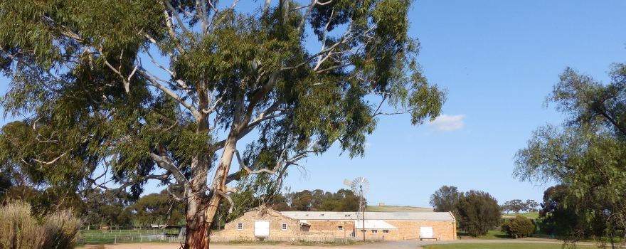 Bungaree Station
