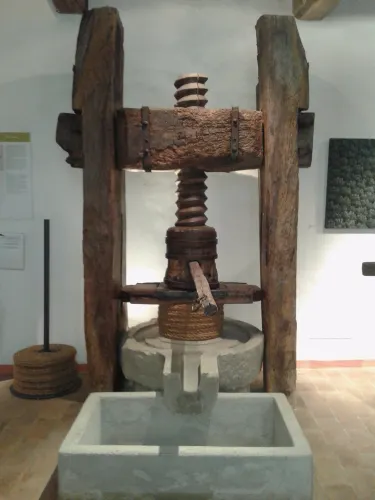 Olive and Oil Museum