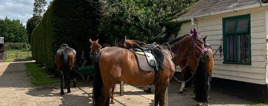 Tally Ho Stables
