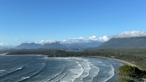 Tofino