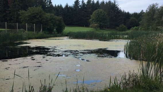 Vennebjerg Golf