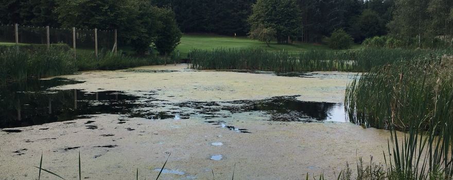 Vennebjerg Golf