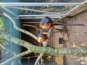 Skaerup Zoo