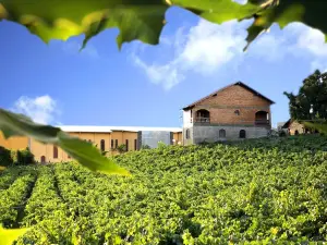 Casa Valduga Winery