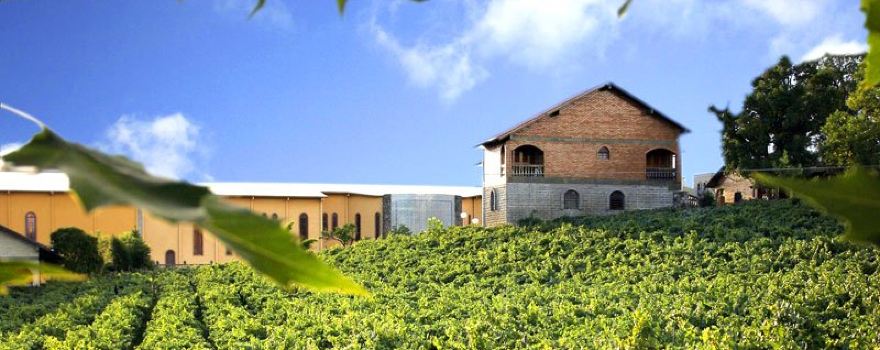 Casa Valduga Winery