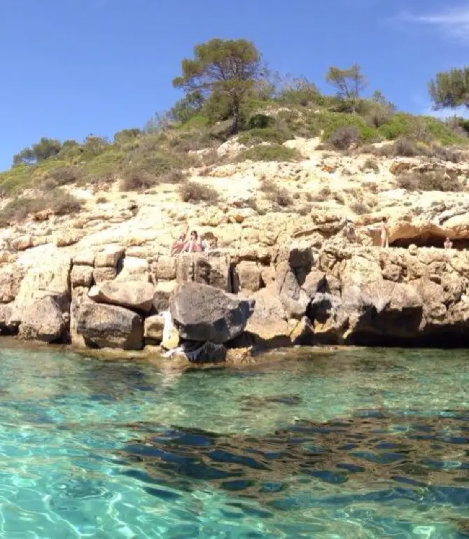 Torrenova