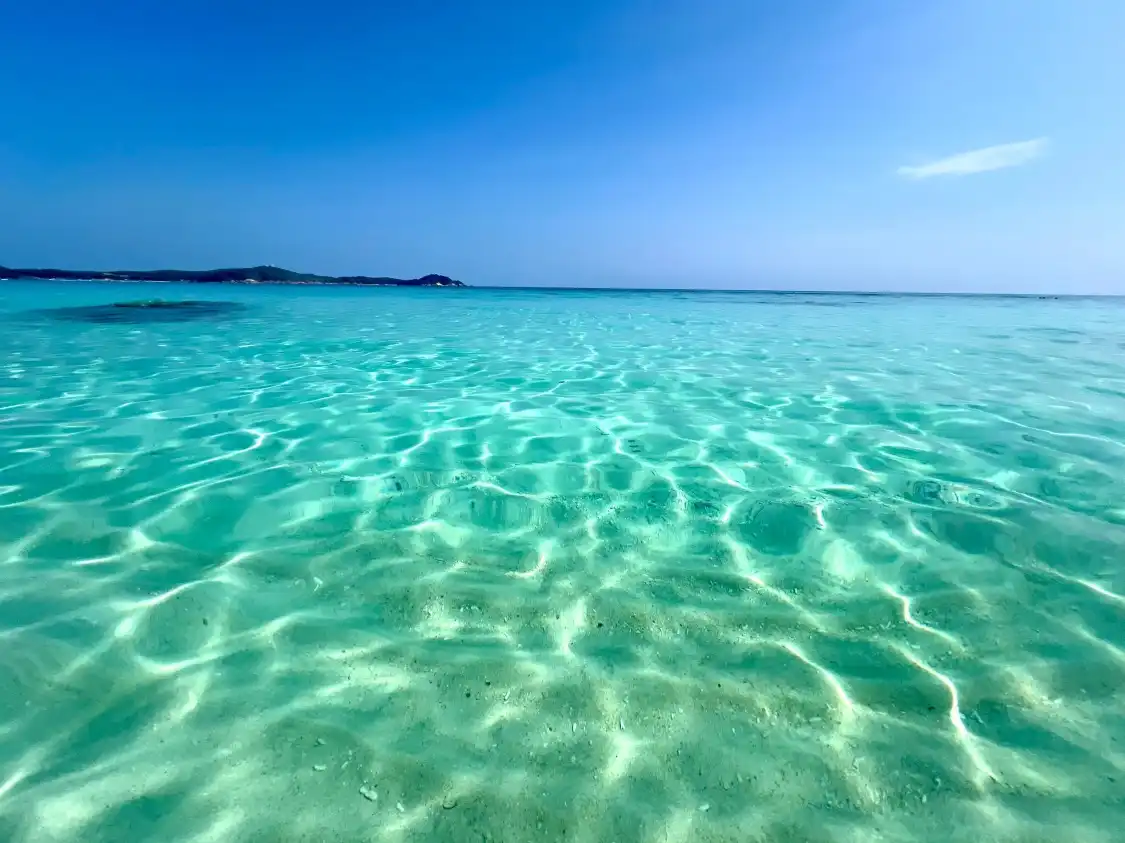Hotels near Turtle Beach