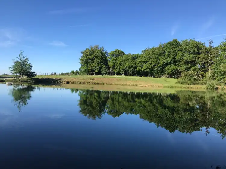 聖皮耶爾德佈雷西厄住宿飯店