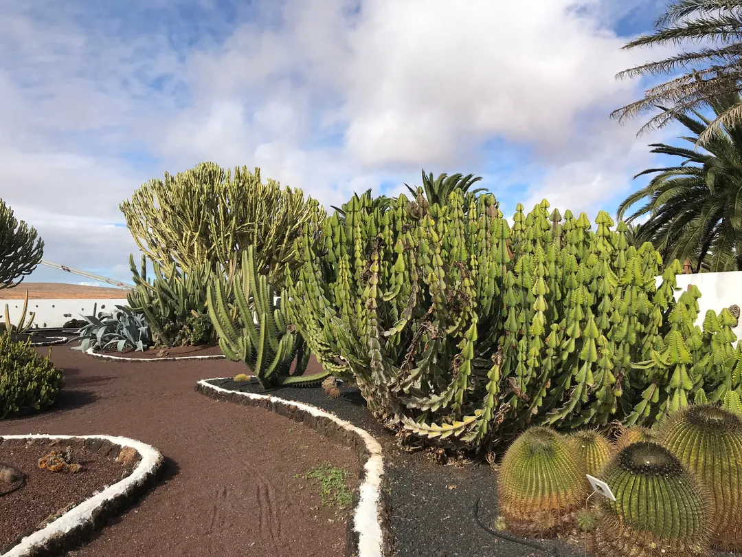 5_Museo del Queso Majorero