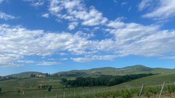 Il Mulinaccio