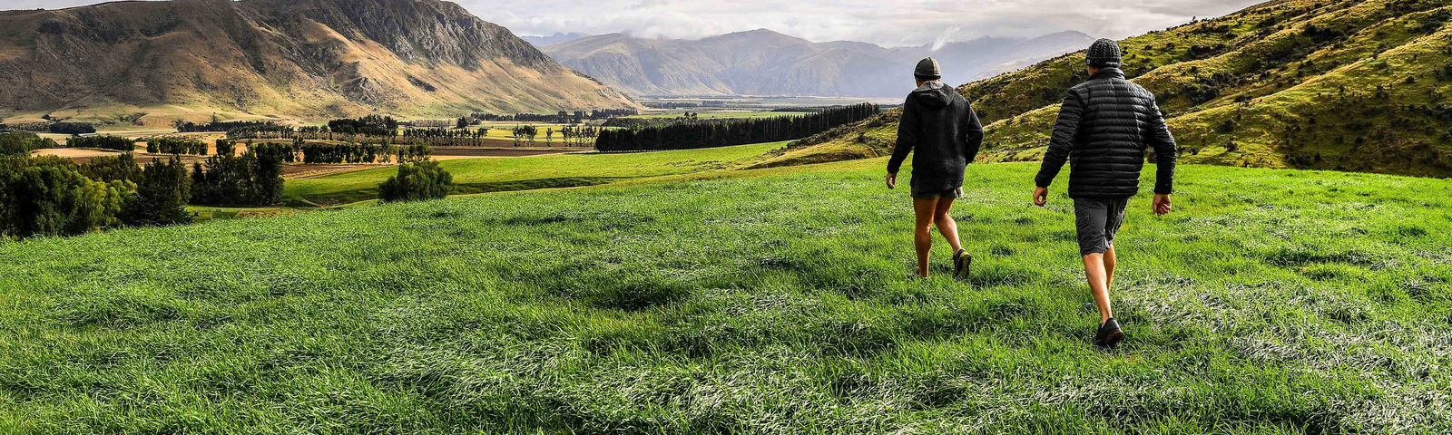 가스톤데이 투어