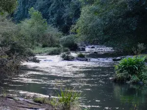 Gardners Falls