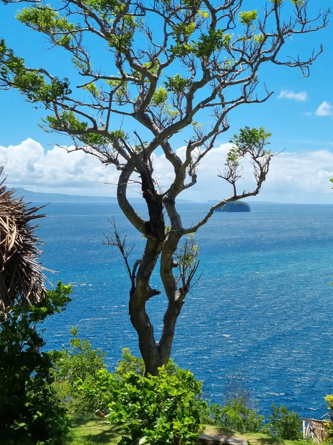 Asah Hill周辺のホテル