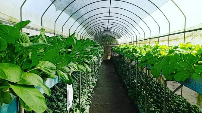 1_Kusuma Agro Wisata