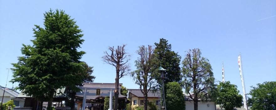 Takedasuga Shrine