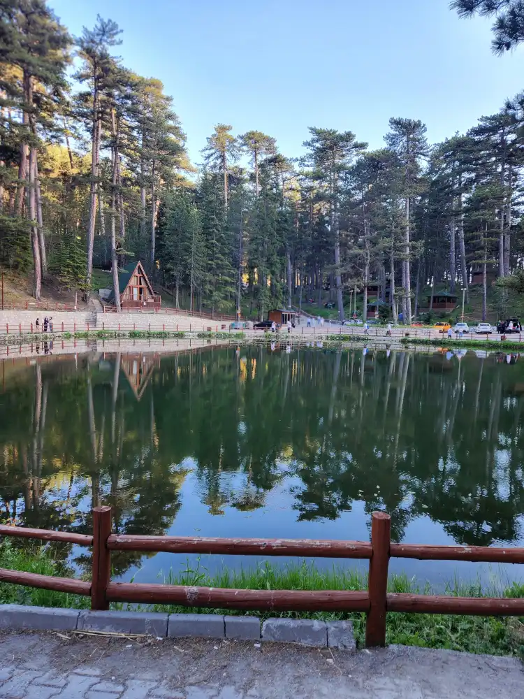 Hotels in Cifter Koyu