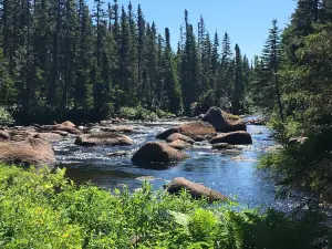 Underground Salmon Pool Trails